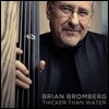 Brian Bromberg (브라이언 브롬버그) - Thicker Than Water