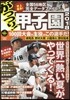 がっつり!甲子園 2018