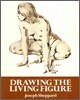 Drawing the Living Figure