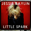 Jesse Baylin - Little Spark (LP)
