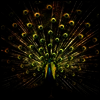 Ani Difranco - Which Side Are You On (2LP)