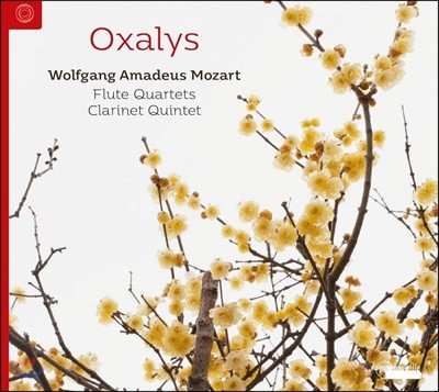 Oxalys 모차르트: 플루트 4중주, 클라리넷 5중주 (Mozart: Flute Quartets KV285, 285a, 285b, 298, Clarinet Quintet KV581)