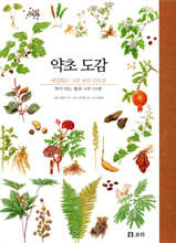 약초 도감