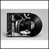 Gruff Rhys (그러프 라이즈) - Babelsberg [LP]