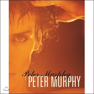 Peter Murphy - 5 ALBUMS 피터 머피 솔로 앨범 5장 모음집