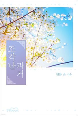 조각난 과거