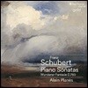 Alain Planes 슈베르트: 피아노 소나타 D537, D575, D784, D625, D840, 방랑자 환상곡 D760 (Schubert: Piano Sonatas, Wanderer-Fantasie)