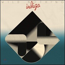 Wild Nothing (와일드 나씽) - Indigo [LP]