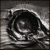 LLNN - Deads (Gatefold Cover)(LP)