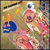 The Flaming Lips (플레이밍 립스) - Greatest Hits Vol. 1