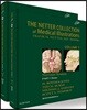 THE NETTER COLLECTION: VOL7 신경계통