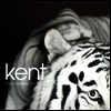 Kent - Vapen & Ammunition