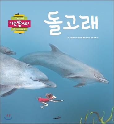 돌고래