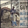 Buddy Guy (버디 가이) - The Blues Is Alive And Well [2LP]