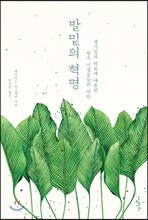 발밑의 혁명