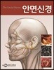 안면신경