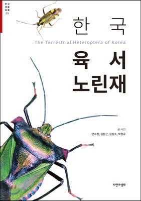 한국 육서 노린재
