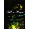 슈게이징 장르 음악 모음집 (Still In A Dream: A Story Of Shoegaze 1988-1995)
