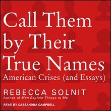 Call Them by Their True Names: American Crises (and Essays)