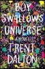 Boy Swallows Universe