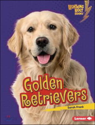 Golden Retrievers