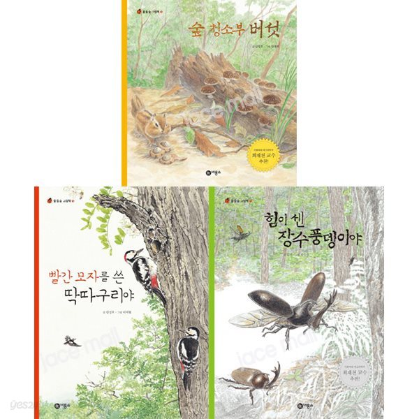 물들숲 그림책 시리즈 11-13권 세트 (전3권)-숲청소부버섯.딱따구리야.장수풍뎅이야