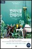 반려식물 인테리어