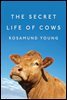 The Secret Life of Cows