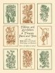 Folklore and Symbolism of Flowers, Plants and Trees