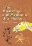 The Anatomy and Action of the Horse