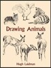 Drawing Animals