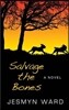 Salvage the Bones