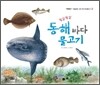 둥실둥실 동해 바다 물고기