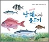 남실남실 남해 바다 물고기