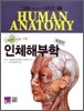 인체해부학