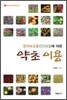 동의보감 & 민간요법에 따른 약초 이용