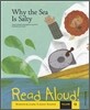 Why the Sea Is Salty