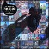 Pink Floyd - Best of : A Foot In the Door 핑크 플로이드 베스트 앨범 [2LP]