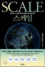 스케일