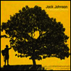 Jack Johnson - In Between Dreams (Gatefold)(180G)(LP)