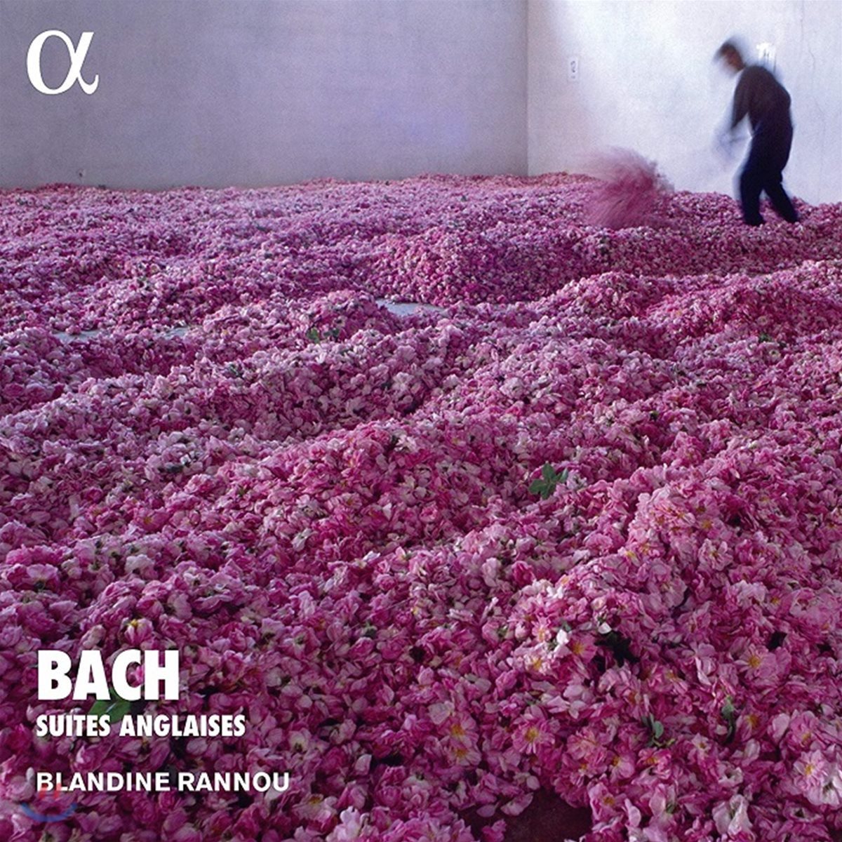 Blandine Rannou 바흐: 영국 모음곡 [하프시코드 연주반] (Bach: English Suites Nos. 1-6, BWV806-811)