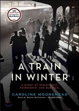 A Train in Winter