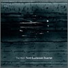Tord Gustavsen Quartet - The Well