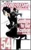 BLEACH ブリ-チ 54