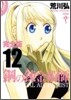 鋼の鍊金術師 完全版 12