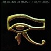 The Sisters Of Mercy (시스터스 오브 머시) - Vision Thing [LP]