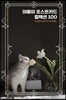 야옹이 포스트카드 컬렉션 100