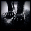 Shearwater - Animal Joy (LP)