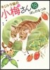 キジトラ猫の小梅さん 18