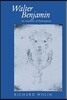 Walter Benjamin: An Aesthetic of Redemption Volume 7